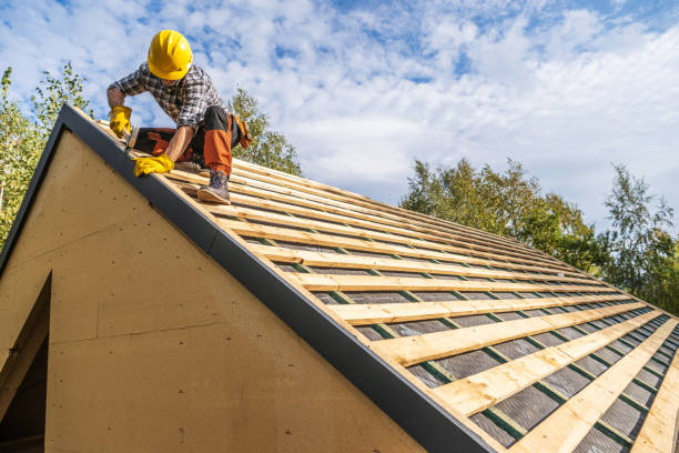 Best Roof Gutter Cleaning  in Bethalto, IL